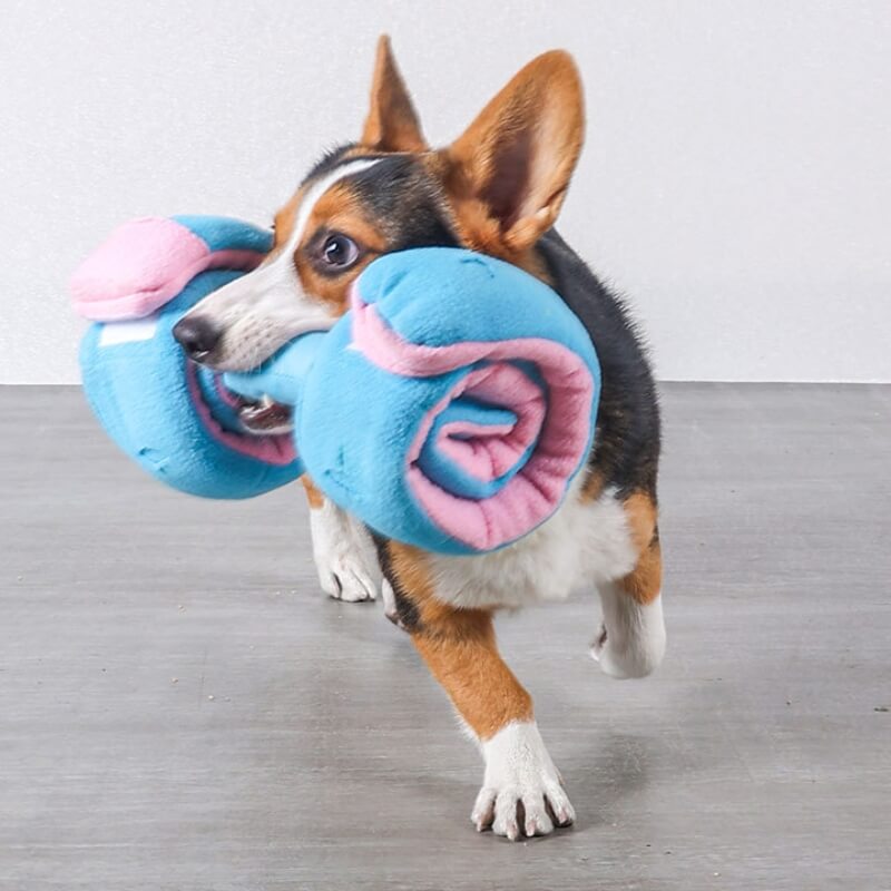 Dog enrichment toy: dumbbell-shaped food dispenser, a durable and engaging puzzle for pets