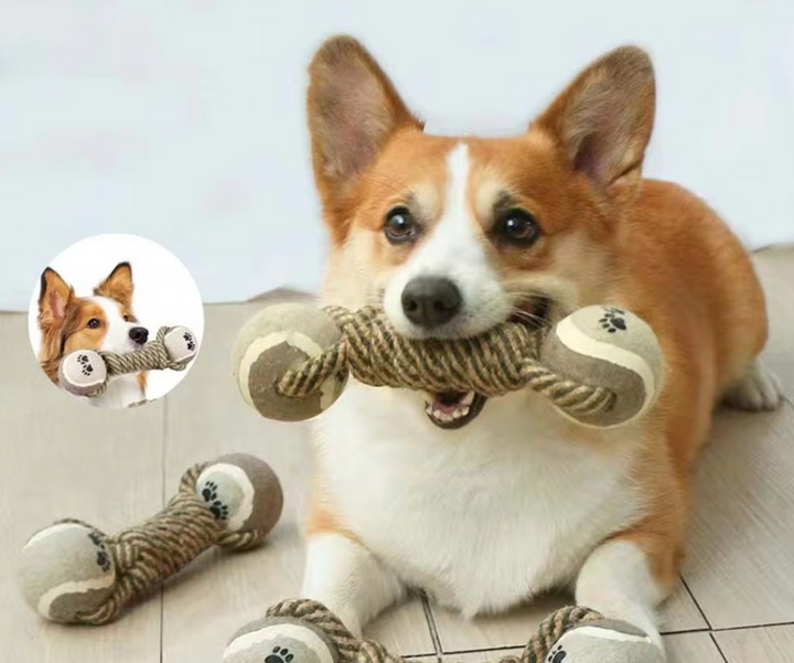 Durable dog rope chew toy with vibrant blue paw print ball, promoting dental health & interactive play for pets.