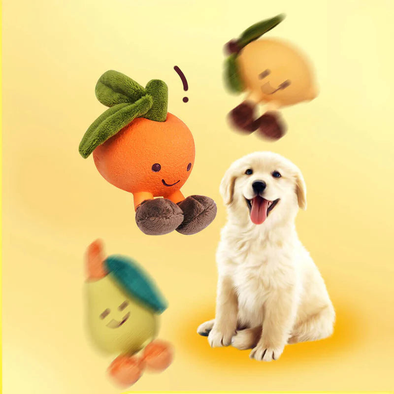 Squeaky dog toy for tough chewers, non-toxic, interactive pet toy with fruity design