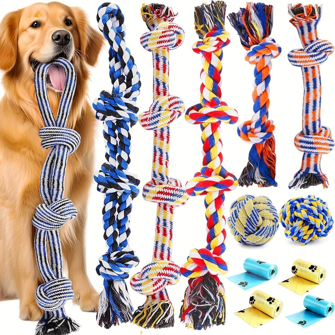 Pet supplies: dog toy set with green rope, orange tennis ball, promoting dental health.