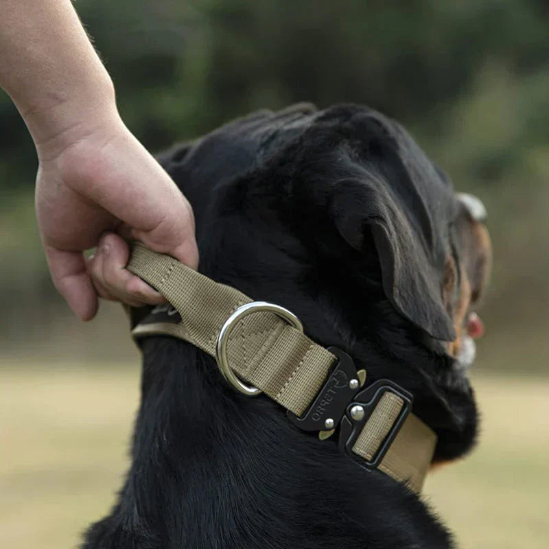 Black dog training collar with built-in handle, ideal for secure pet control & training.