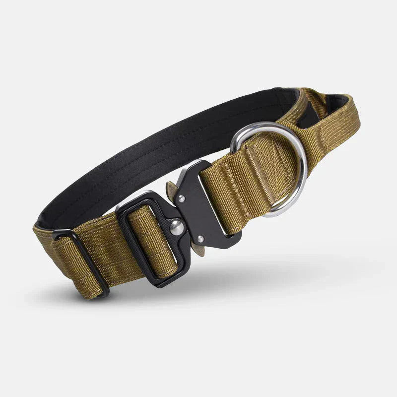 Pet supplies: Heavy-duty dog training collar with grip handle for effective dog control.