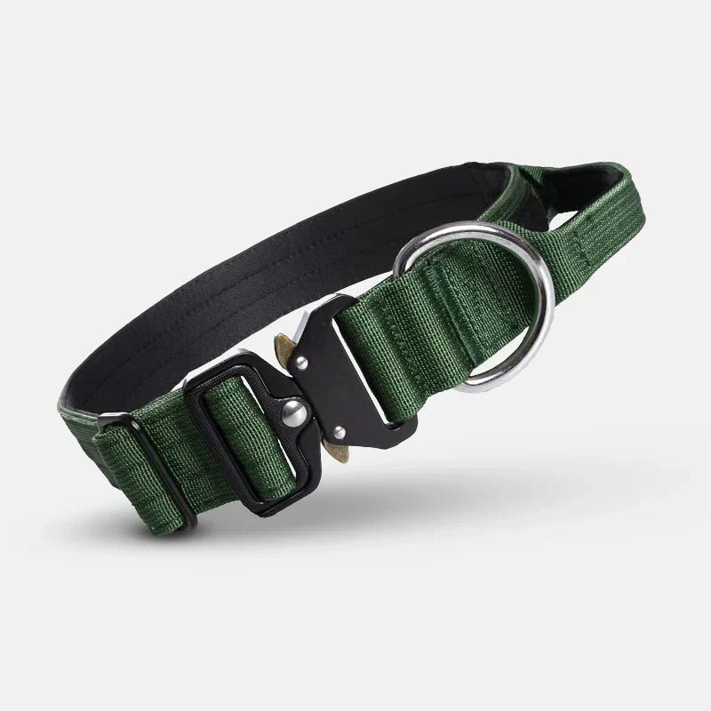 Enhanced control dog collar for training, featuring a sturdy handle and durable construction.