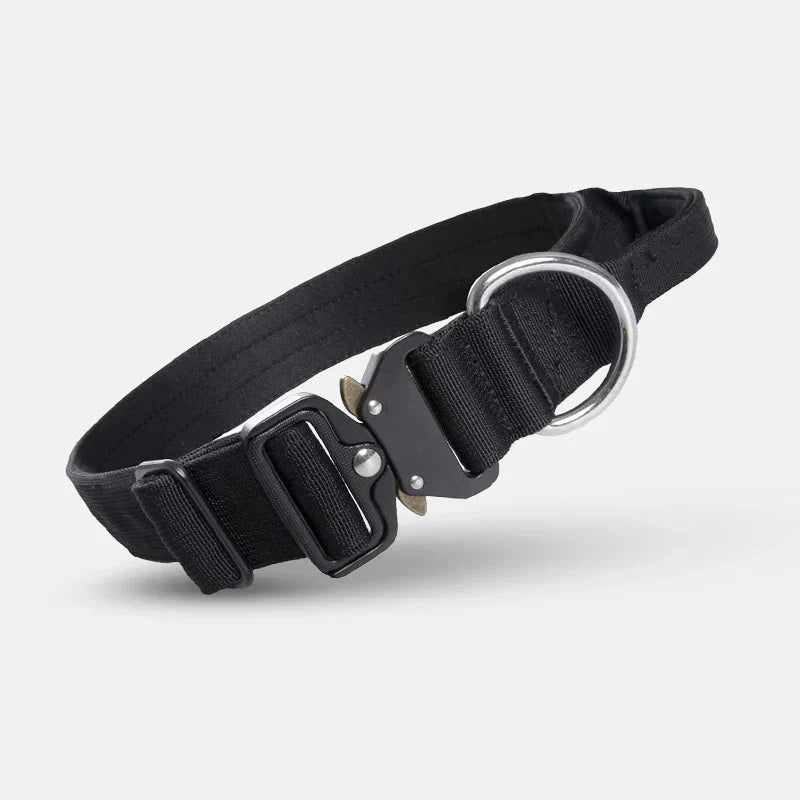Secure dog training collar with integrated handle, perfect for pet owners seeking better control.