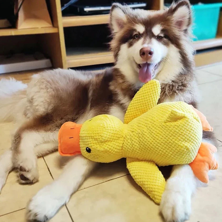Detailed shot of the stitching on the durable duck dog toy, ensuring long-lasting use.