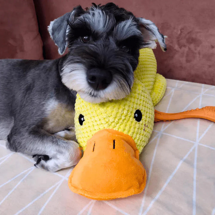 Calming duck dog toy, an engaging pet supply that supports dog enrichment activities.
