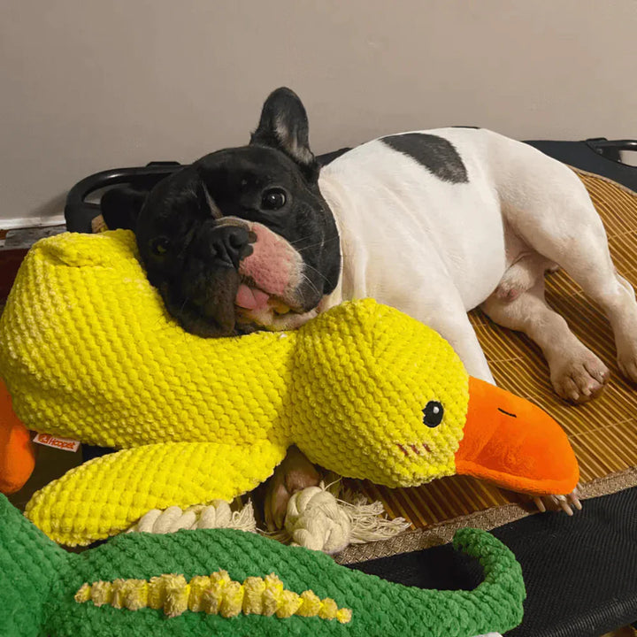 Machine washable duck dog chew toy, designed for durability and easy maintenance for pet owners.