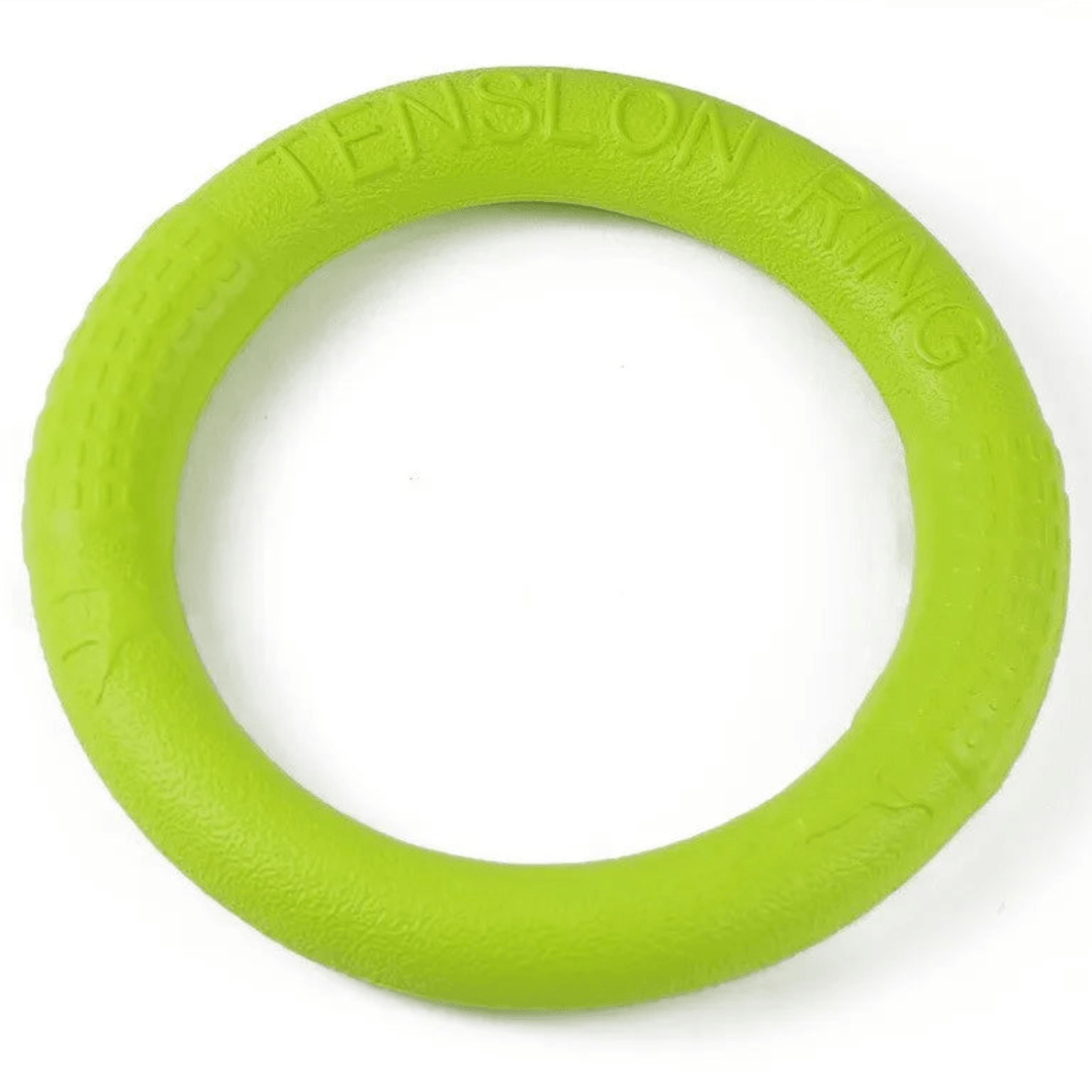Durable EVA dog chew ring toy for training and fetching, perfect for interactive play.