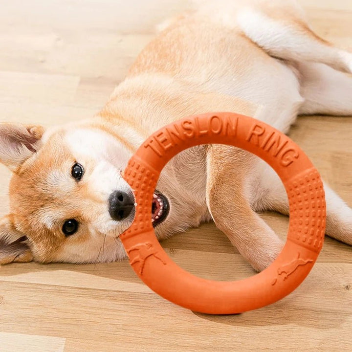 Dog excitedly playing with a green durable chew ring toy outdoors, ideal for training and enrichment.