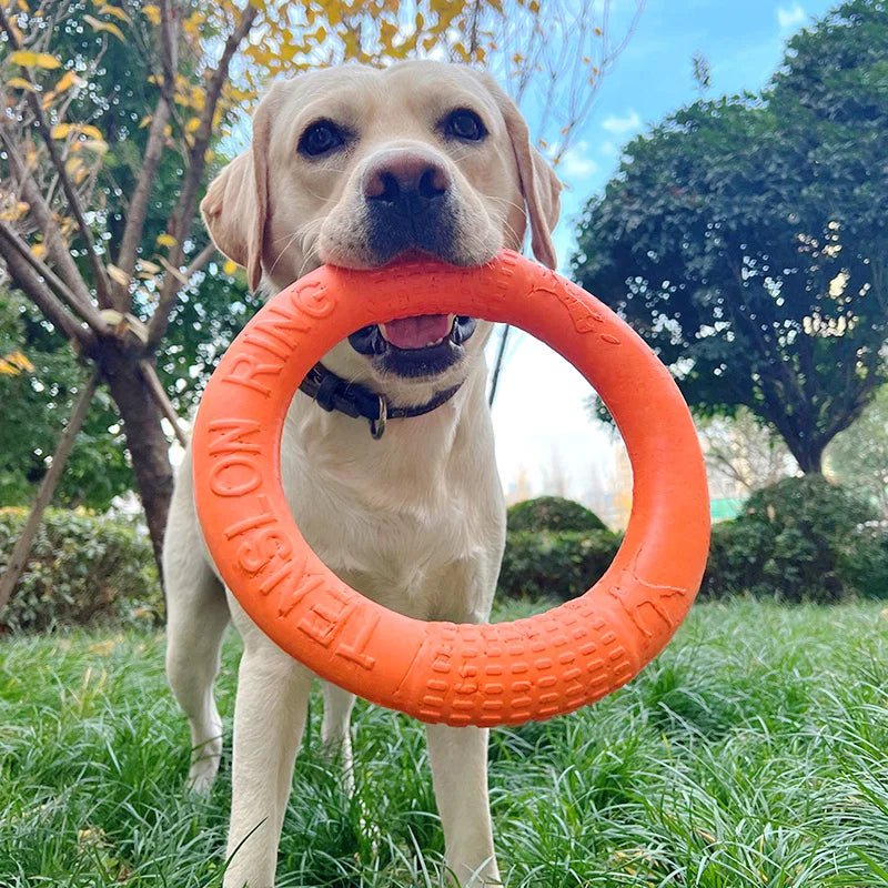 Two colorful EVA dog chew rings, red and blue, stacked, emphasizing their robust design for active dogs.