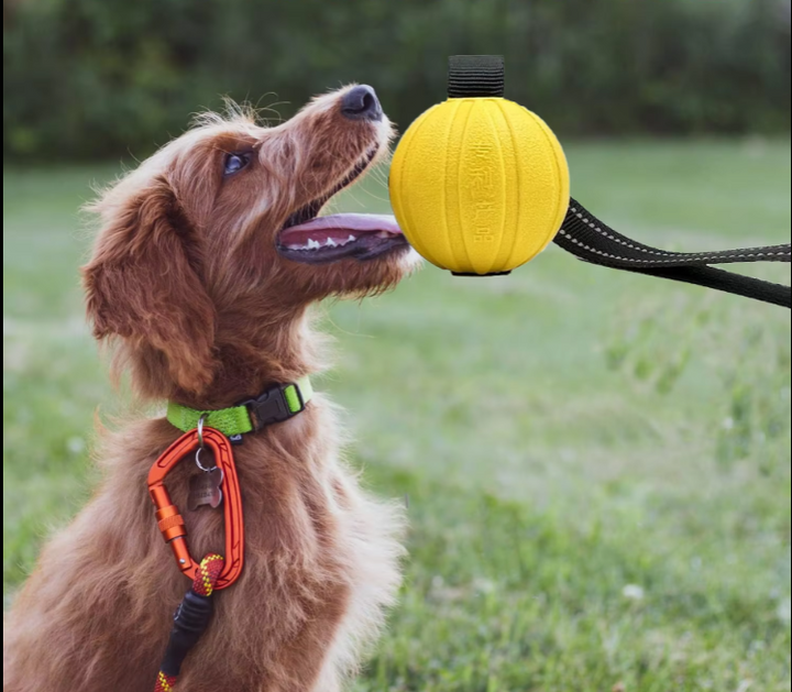 Durable interactive dog chew toy tug ball for pet training and dental health