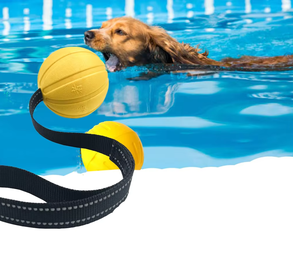 Dog actively playing with a durable interactive chew toy tug ball for training
