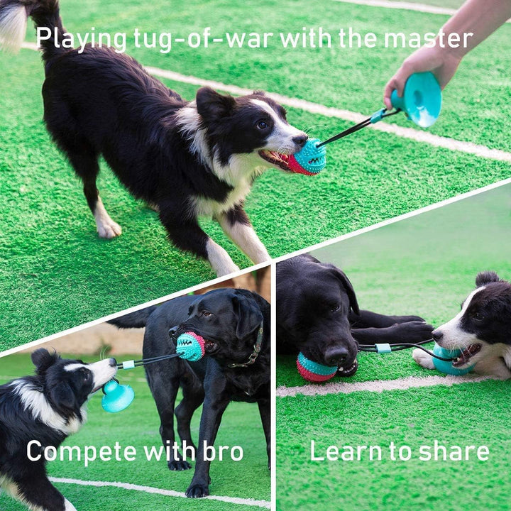 Interactive pet suction cup chew toy, strong grip for engaging playtime, healthy teeth for dogs & cats.