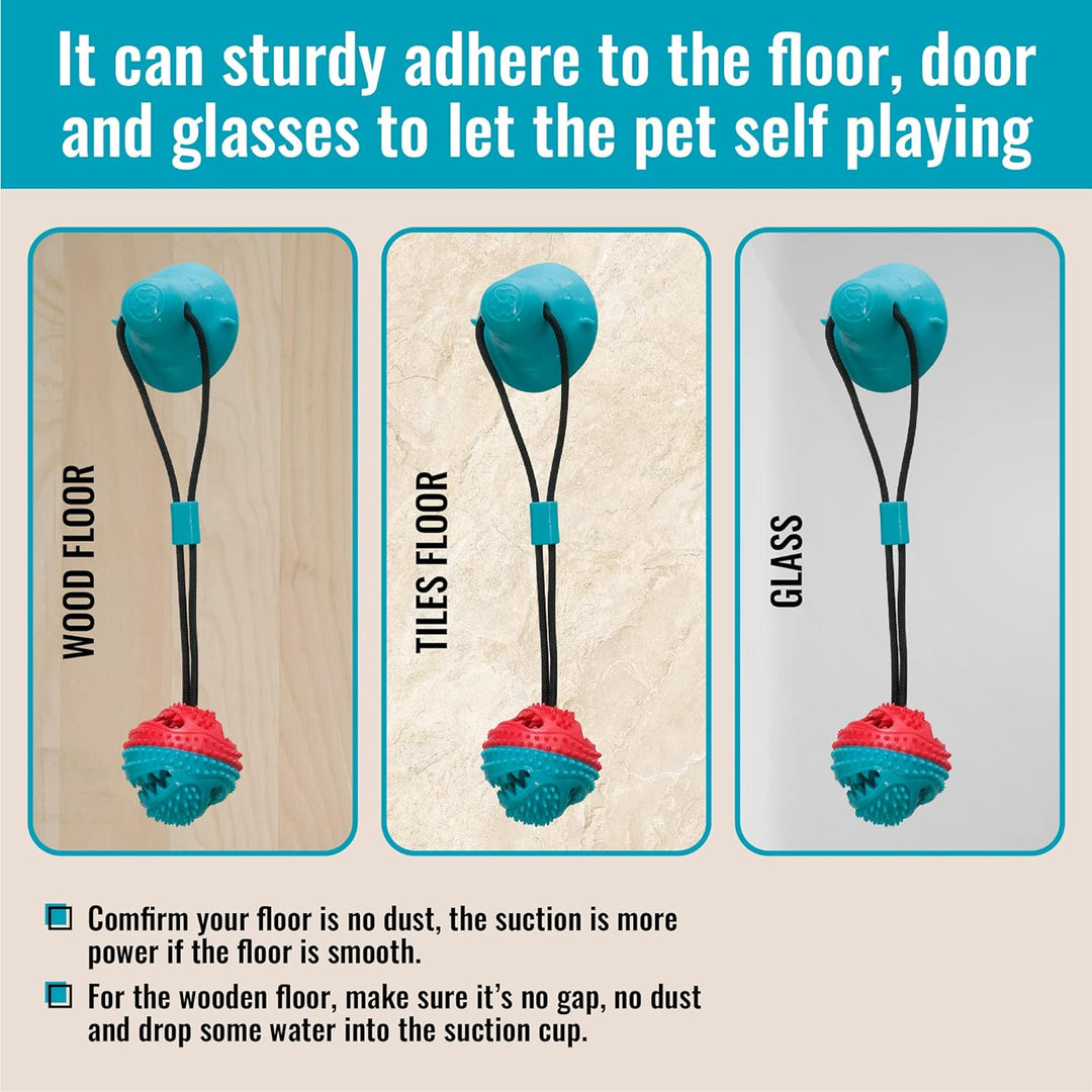 Dental health dog toy: durable suction cup chew toy for interactive play, perfect for enrichment.