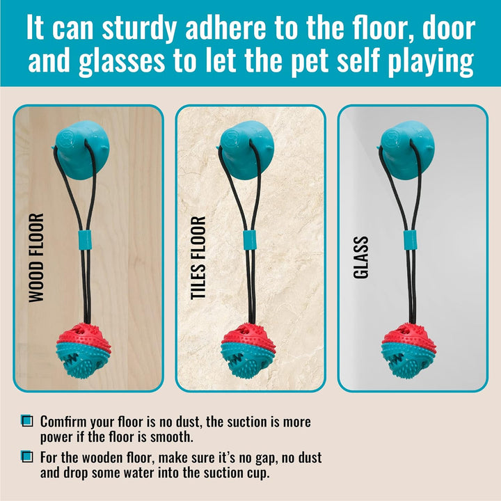 Dental health dog toy: durable suction cup chew toy for interactive play, perfect for enrichment.