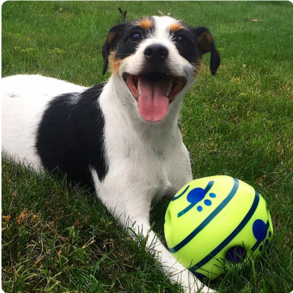 Durable interactive dog play ball for pet entertainment, made for fetching & chewing