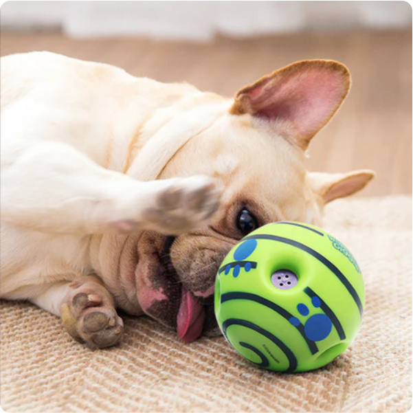 Close-up of the textured surface of a durable interactive dog play ball, great for puppies