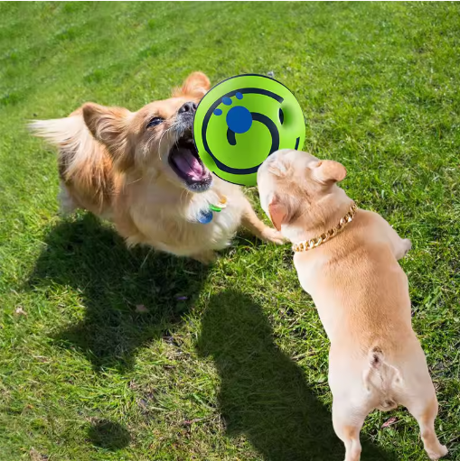 Interactive dog play ball with treat-dispensing features, engaging pet supplies for fun