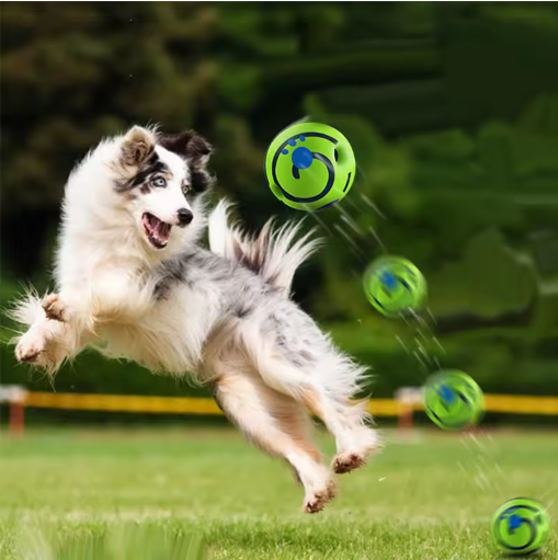 Yellow interactive dog and puppy play ball, robust pet toy for indoor & outdoor use