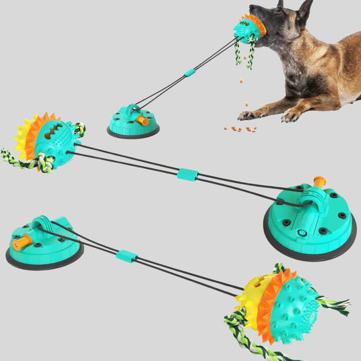 Durable interactive dog toy with suction base and chew rope for strong chewers, unisex pet supplies