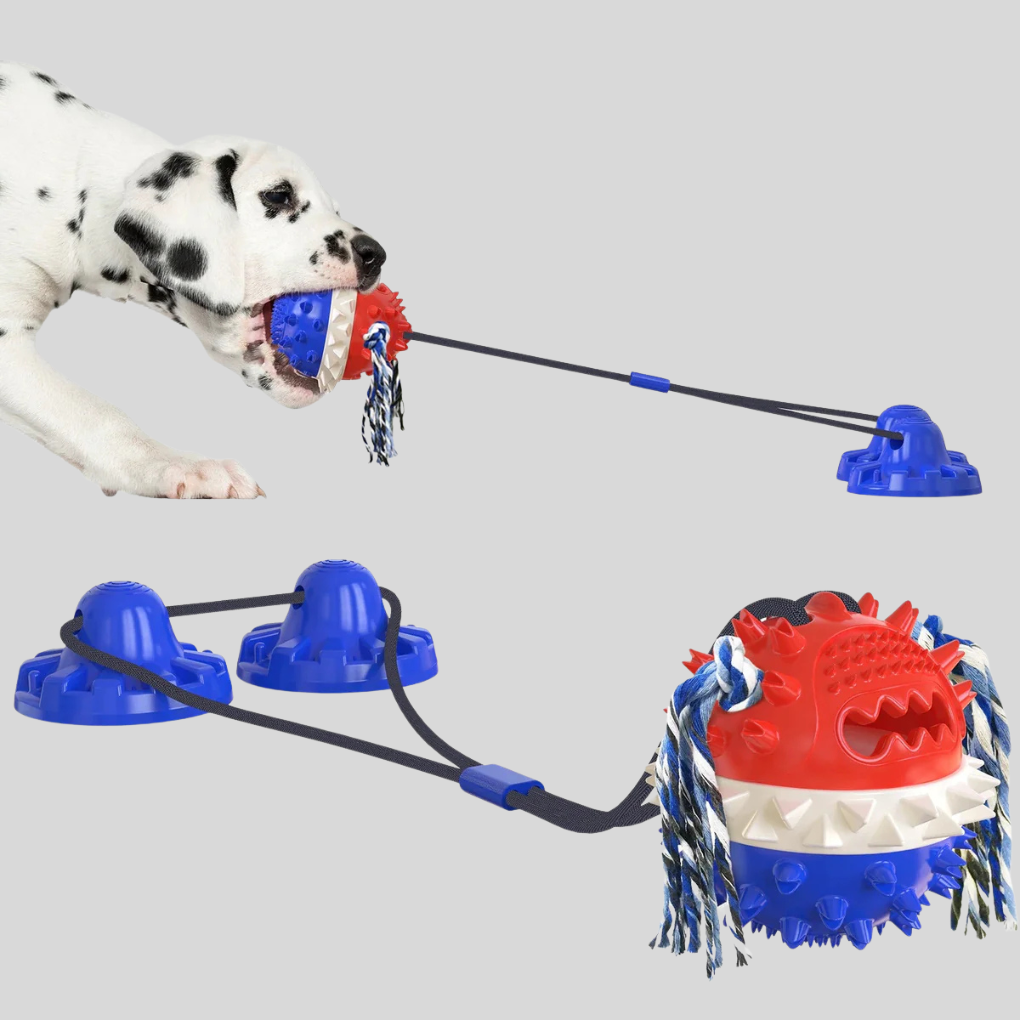 Pet supplies: interactive tug rope dog toy with strong suction base, an engaging chew toy