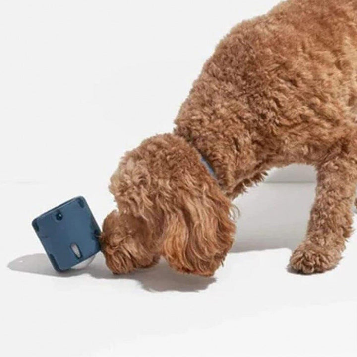 Pet supplies: tough interactive tennis ball dog toy designed for chasing and chewing