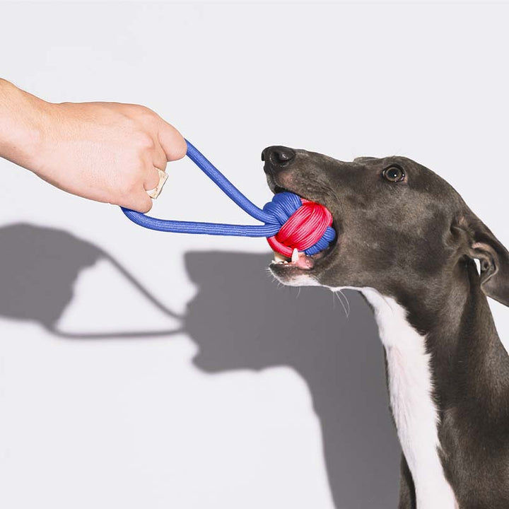 Unisex Knots Rope Tug Dog Toy, great for chewing, and promoting healthy teeth in pets.