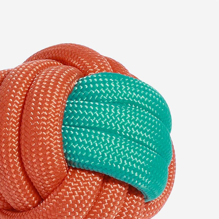 Teeth cleaning rope dog toy with multiple knots, perfect for aggressive chewers.