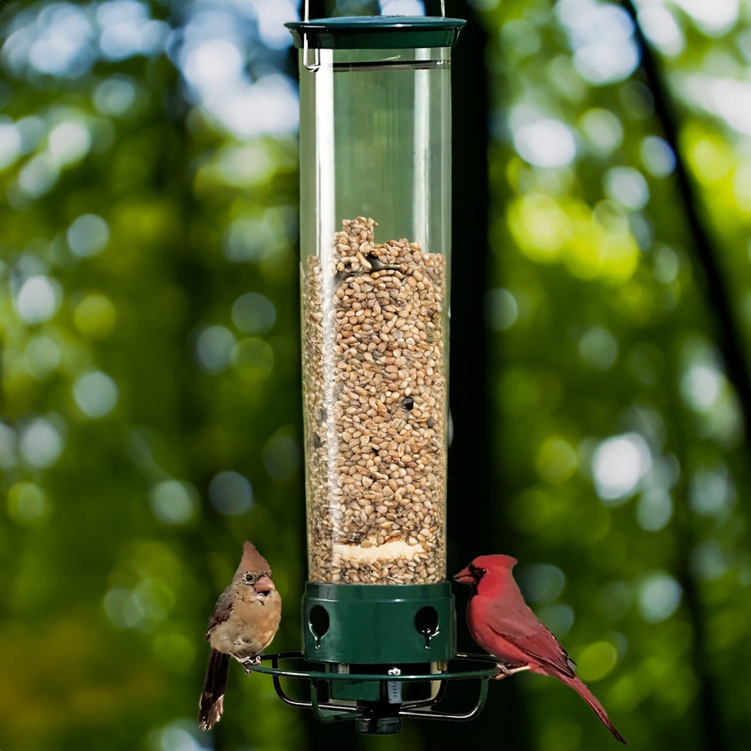 Durable metal squirrel-proof bird feeder with weight-activated perch, perfect for backyard wild birds