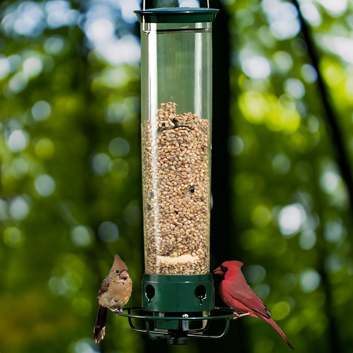 Durable metal squirrel-proof bird feeder with weight-activated perch, perfect for backyard wild birds