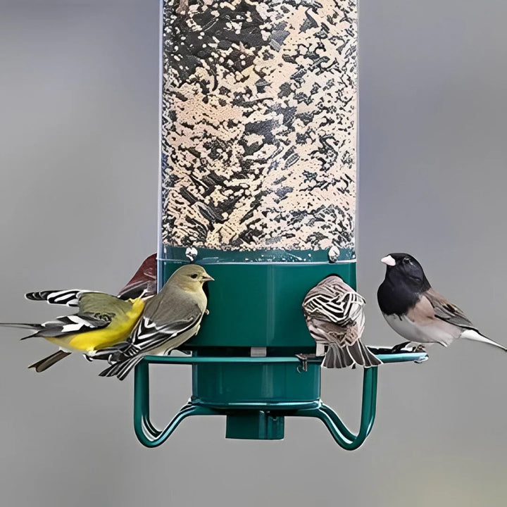 Outdoor garden decor: metal seed feeder with squirrel-resistant design for various backyard birds