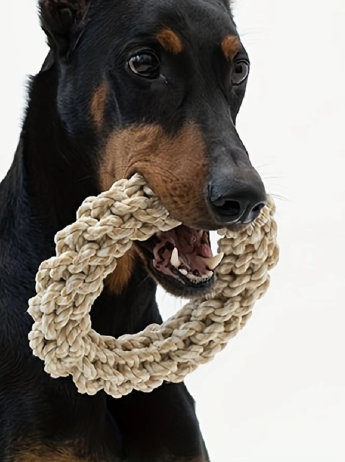 Durable natural cotton dog rope chew ring, perfect for dental health and interactive tug play.