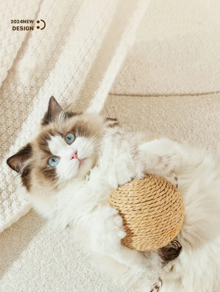 A cat enjoying a sisal ball scratching toy, an essential pet accessory for active felines.