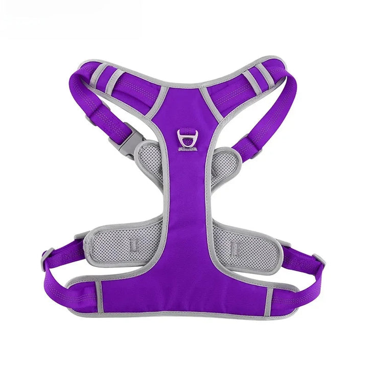 Flat lay of a durable no-pull dog harness, presenting all features including reflective elements