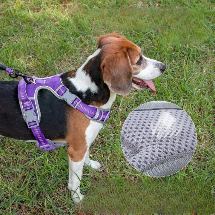 High-visibility dog harness with reflective trim, side view, ideal for night safety