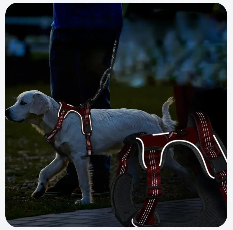Adjustable no-pull dog harness showing buckles and straps for secure fit on canine