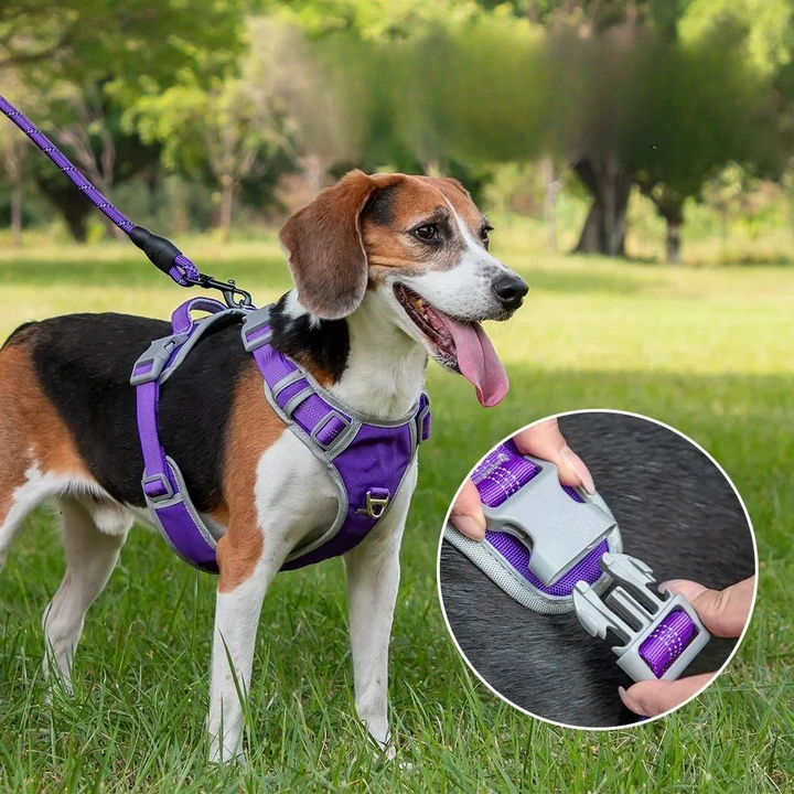 Dog wearing a durable no-pull vest harness during an outdoor walk on a leash