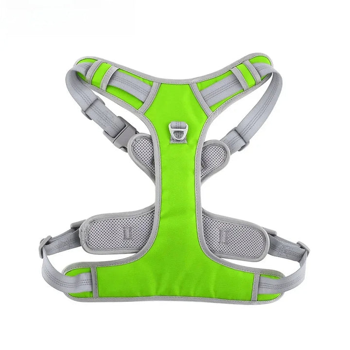 Back view of sturdy dog harness with D-ring for leash attachment, emphasizing durability