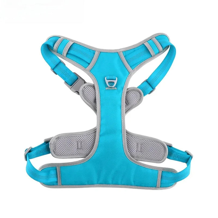Ergonomic design of a durable no-pull dog harness, showcasing canine comfort features