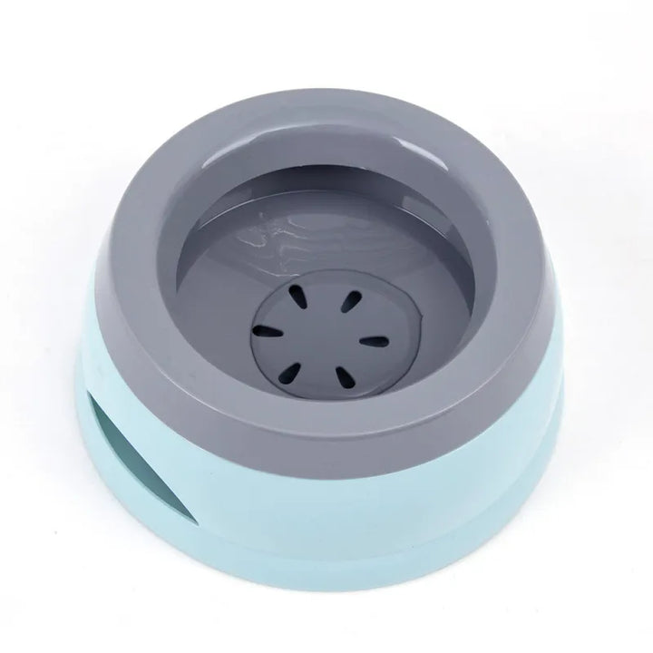 Non-slip cat food bowl, designed for stability and easy cleaning during feeding.