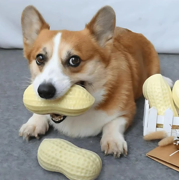 Dog dental chew toy with peanut design, durable for pet play.
