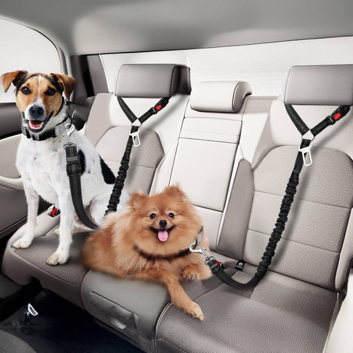 Durable pet car safety seatbelt with bungee buffer, dog vehicle restraint for safe travel