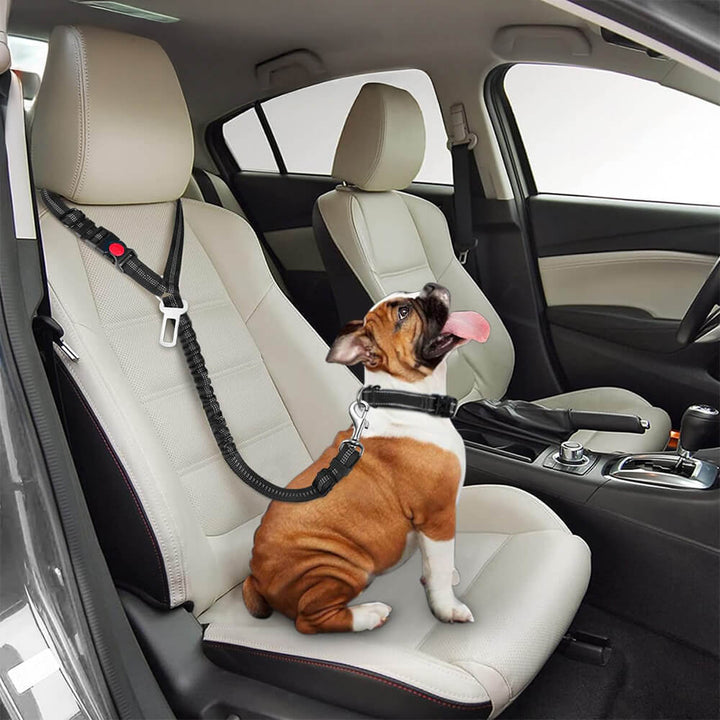 Adjustable pet safety seatbelt with bungee leash for car, headrest attachment for dogs