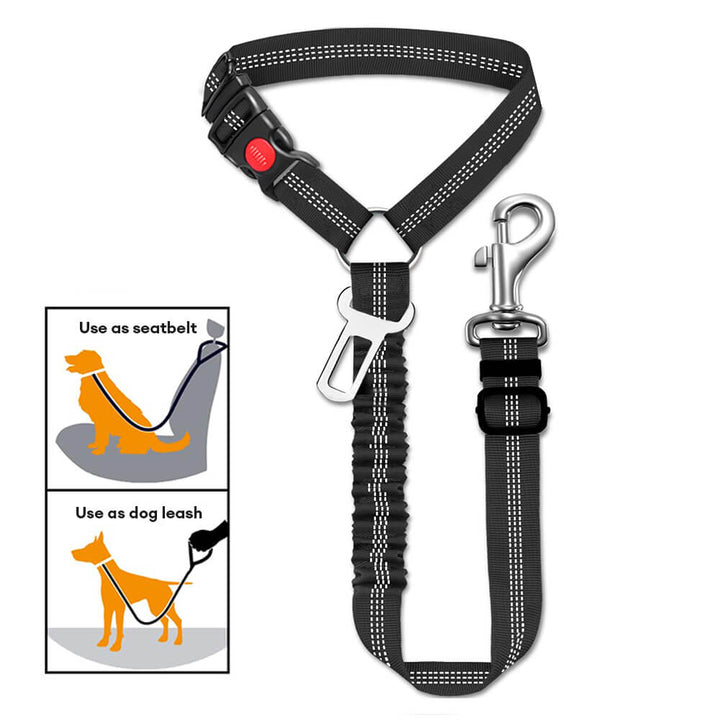 Close-up of pet car safety seatbelt with bungee buffer, strong vehicle restraint for pets