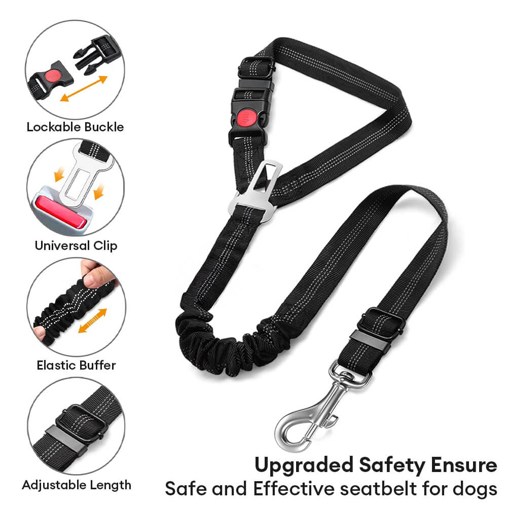 Dog car seatbelt with bungee buffer, pet travel accessory ensuring safety and comfort