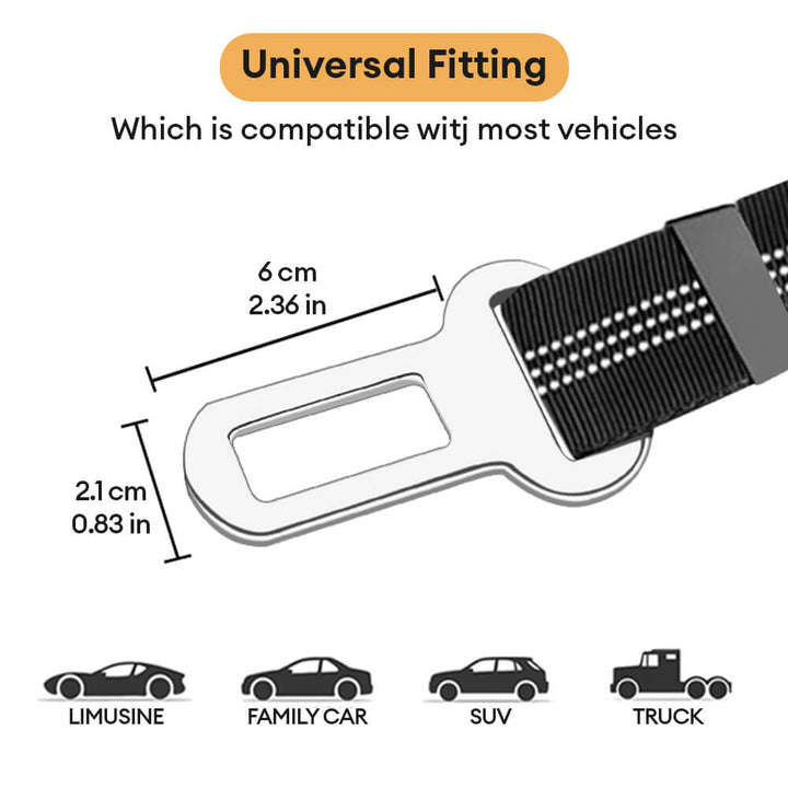 Pet car accessory: universal seatbelt with bungee buffer, essential for dog travel safety