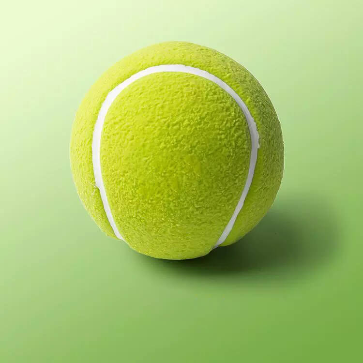 Dog owner throwing a durable pet latex squeaky ball toy for a playful dog, outdoor fun