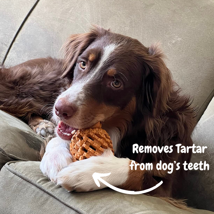 Aggressive chewer approved: pineapple-shaped dog toy with treat dispensing features