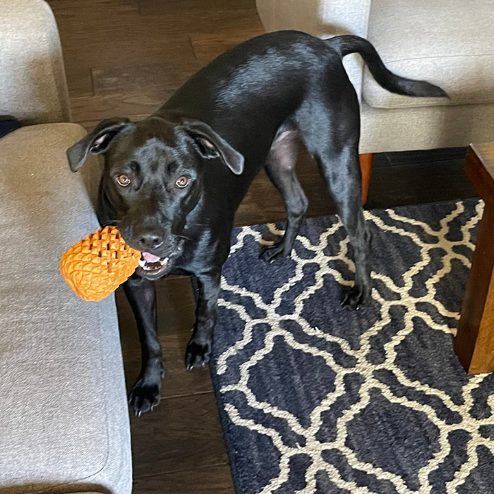 Robust pineapple dog chew toy for treat dispensing and mental stimulation, pet supplies