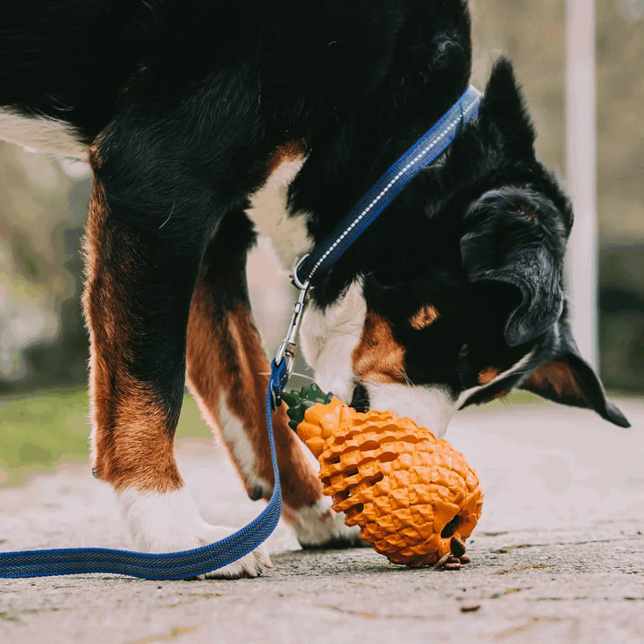 Bright yellow pineapple dog toy, dispenses treats, promotes healthy chewing habits